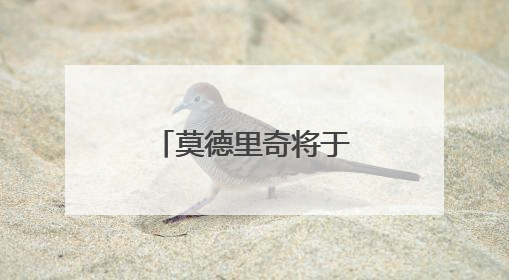 莫德里奇将于今年世俱杯结束后离开皇马