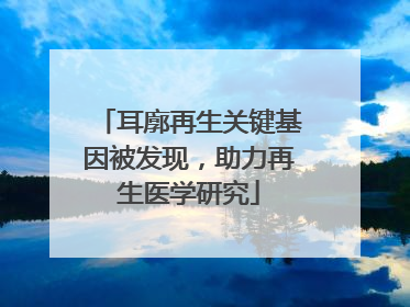 耳廓再生关键基因被发现，助力再生医学研究