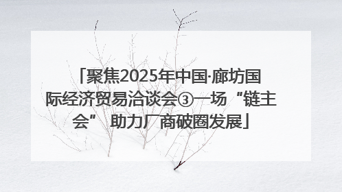 聚焦2025年中国·廊坊国际经济贸易洽谈会③一场“链主会” 助力厂商破圈发展