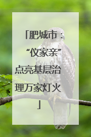 肥城市：“仪家亲”点亮基层治理万家灯火