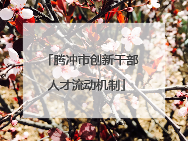 腾冲市创新干部人才流动机制