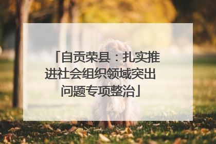 自贡荣县：扎实推进社会组织领域突出问题专项整治