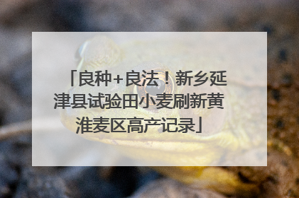 良种+良法！新乡延津县试验田小麦刷新黄淮麦区高产记录