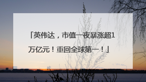 英伟达，市值一夜暴涨超1万亿元！重回全球第一！