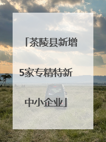 茶陵县新增5家专精特新中小企业