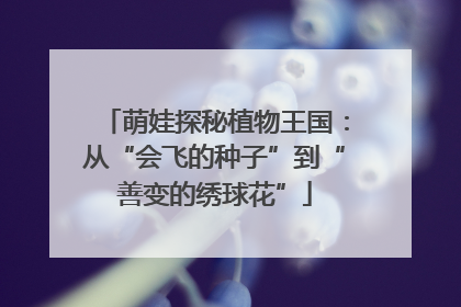 萌娃探秘植物王国：从“会飞的种子”到“善变的绣球花”
