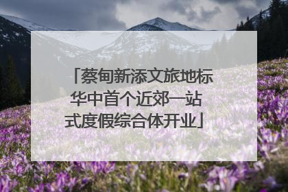 蔡甸新添文旅地标 华中首个近郊一站式度假综合体开业