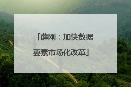 薛刚：加快数据要素市场化改革