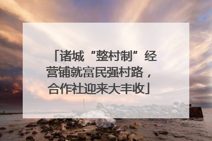 诸城“整村制”经营铺就富民强村路，合作社迎来大丰收