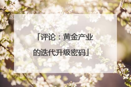 评论：黄金产业的迭代升级密码
