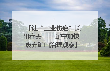 让“工业伤疤”长出春天——辽宁加快废弃矿山治理观察