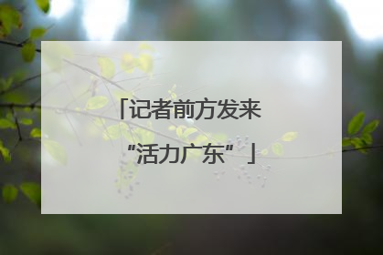 记者前方发来“活力广东”