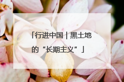 行进中国｜黑土地的“长期主义”