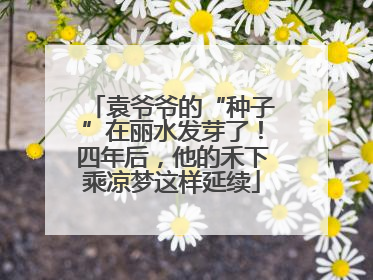 袁爷爷的“种子”在丽水发芽了！四年后，他的禾下乘凉梦这样延续