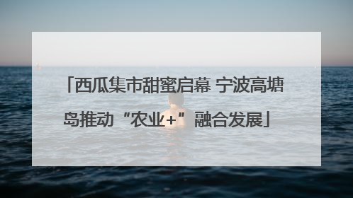 西瓜集市甜蜜启幕 宁波高塘岛推动“农业+”融合发展