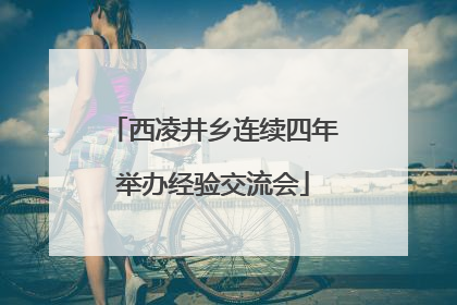 西凌井乡连续四年举办经验交流会