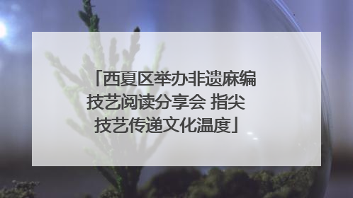 西夏区举办非遗麻编技艺阅读分享会 指尖技艺传递文化温度