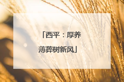 西平：厚养薄葬树新风