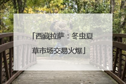 西藏拉萨：冬虫夏草市场交易火爆