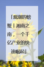 观潮的螃蟹丨湘南之南，一个千亿产业的快速崛起