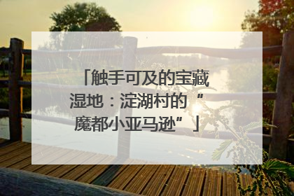触手可及的宝藏湿地：淀湖村的“魔都小亚马逊”