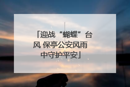 迎战“蝴蝶”台风 保亭公安风雨中守护平安