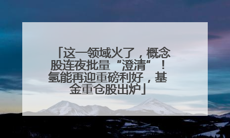 这一领域火了，概念股连夜批量“澄清”！氢能再迎重磅利好，基金重仓股出炉