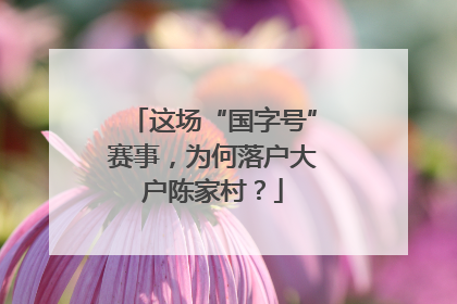 这场“国字号”赛事，为何落户大户陈家村？