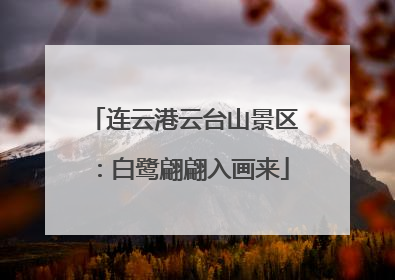 连云港云台山景区：白鹭翩翩入画来