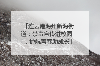 连云港海州新海街道：禁毒宣传进校园，护航青春助成长