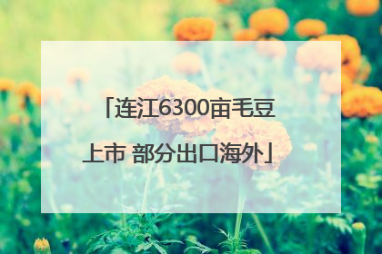 连江6300亩毛豆上市 部分出口海外