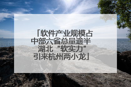 软件产业规模占中部六省总量逾半 湖北“软实力”引来杭州两小龙