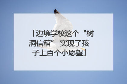 边境学校这个“树洞信箱” 实现了孩子上百个小愿望