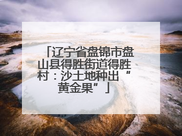 辽宁省盘锦市盘山县得胜街道得胜村：沙土地种出“黄金果”