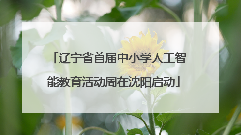 辽宁省首届中小学人工智能教育活动周在沈阳启动