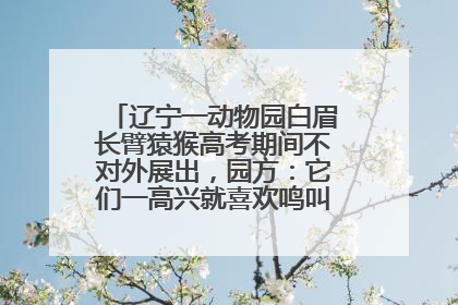 辽宁一动物园白眉长臂猿猴高考期间不对外展出，园方：它们一高兴就喜欢鸣叫，怕影响考试