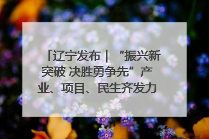 辽宁发布｜“振兴新突破 决胜勇争先”产业、项目、民生齐发力 葫芦岛按下决胜之年“加速键”