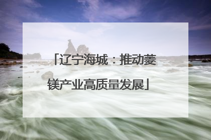 辽宁海城：推动菱镁产业高质量发展