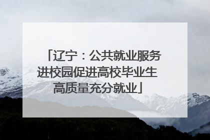 辽宁：公共就业服务进校园促进高校毕业生高质量充分就业