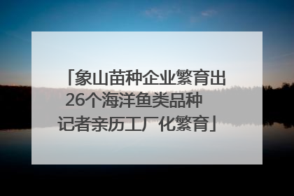 象山苗种企业繁育出26个海洋鱼类品种 记者亲历工厂化繁育