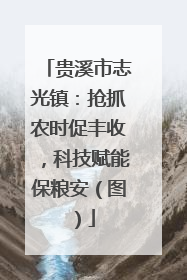 贵溪市志光镇：抢抓农时促丰收，科技赋能保粮安（图）