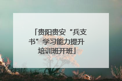 贵阳贵安“兵支书”学习能力提升培训班开班