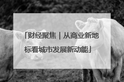 财经聚焦｜从商业新地标看城市发展新动能