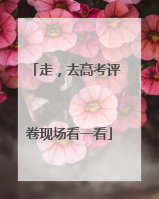 走，去高考评卷现场看一看