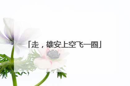 走，雄安上空飞一圈