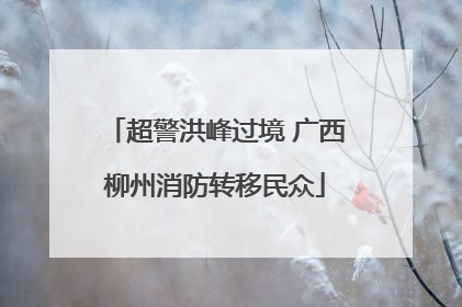 超警洪峰过境 广西柳州消防转移民众