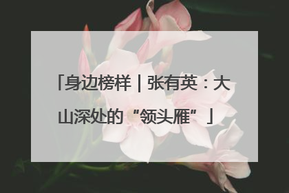 身边榜样｜张有英：大山深处的“领头雁”