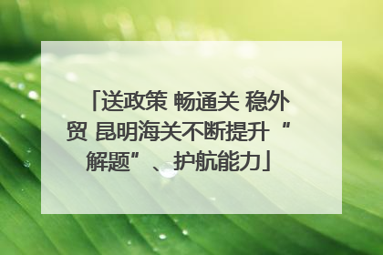 送政策 畅通关 稳外贸 昆明海关不断提升“解题”、护航能力