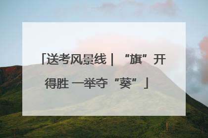 送考风景线｜“旗”开得胜 一举夺“葵”