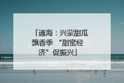 通海：兴蒙甜瓜飘香季 “甜蜜经济”促振兴